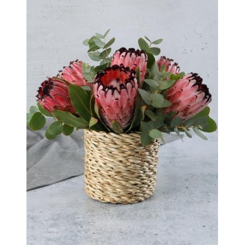 Enchanted Protea And Rose Crate