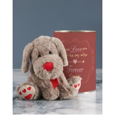Personalised Heart Paws Teddy (CHOCOLATE)