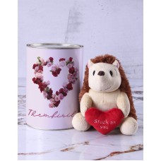 Personalised Love Hedgehog Teddy (CHOCOLATE)