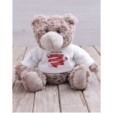 Personalised Love and Cuddles Teddy