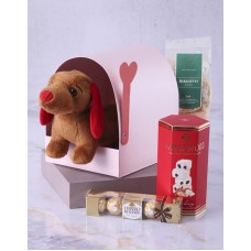 Dachshund Teddy And Treats