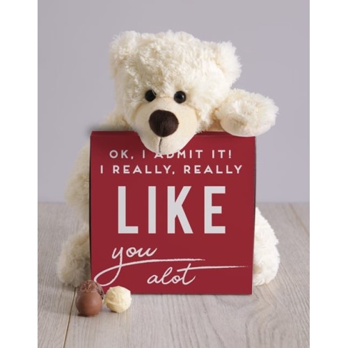 I Really Like You Teddy Hamper