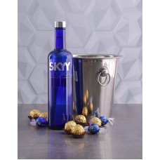 Skyy Vodka Ice Bucket Gift
