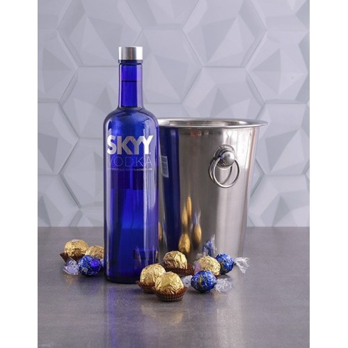 Skyy Vodka Ice Bucket Gift