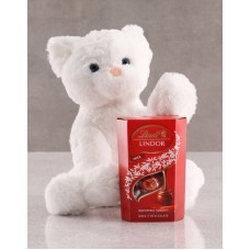 Cat Teddy And Lindt Chocolate