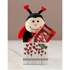 Ladybug Love And Kitkat Hamper (STANDARD)