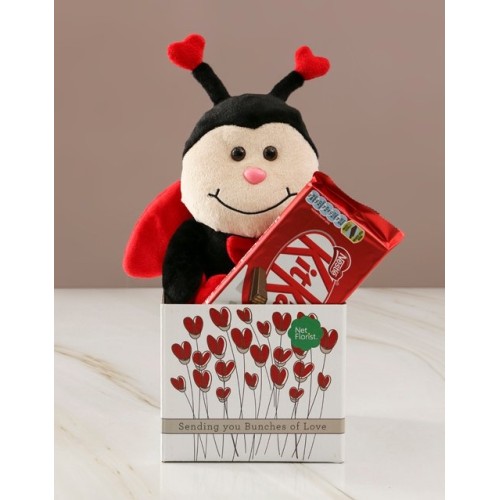 Ladybug Love And Kitkat Hamper (STANDARD)