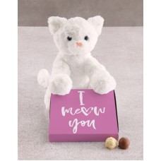 Kitty Cat Teddy With Chocolate Tray Hamper