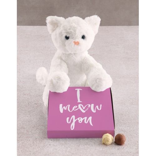 Kitty Cat Teddy With Chocolate Tray Hamper