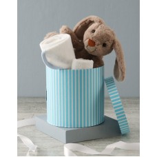 Bunny And Baby Blue Bath Time Hat Box Hamper