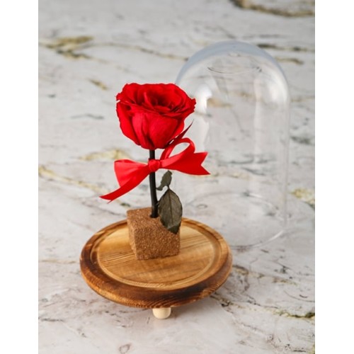 Love Everlasting Rose In A Dome