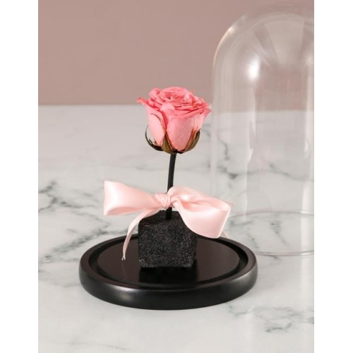 Pink Rose In Glass Dome