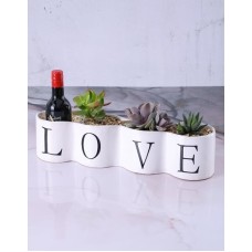 Succa For Love Pot