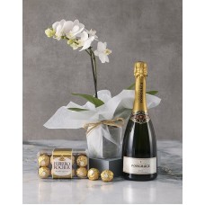Romantic Phalaenopsis Orchid Gourmet Hamper