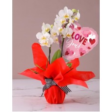 Divine Orchids With A Balloon