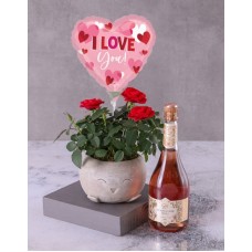 Popping Rose Bush Pot