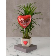 Heartfelt Areca Bamboo Planter