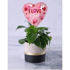 Lindt Love Leaf