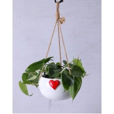 Red Heart Love Leaf