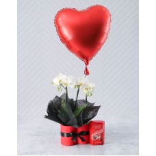 Romantic Floating Heart Orchid