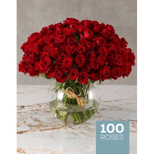 Ravishing Garden Of Red Roses