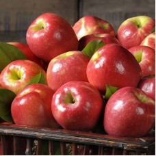 Pink Lady Apples (Classic - Approx. 4pc)