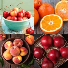 Harvestclub Medley