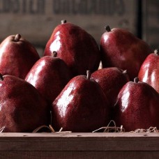 Columbia Red Pears (Classic)