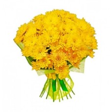 Dozen of Yellow Spring Flowers