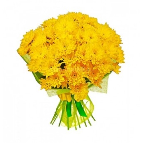 Dozen of Yellow Spring Flowers