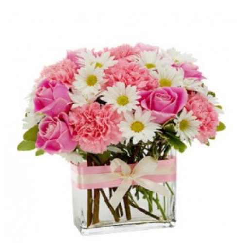 Pink Roses and White Spring Flowers