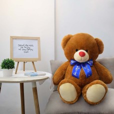 Casey Bear Stuffed Toy