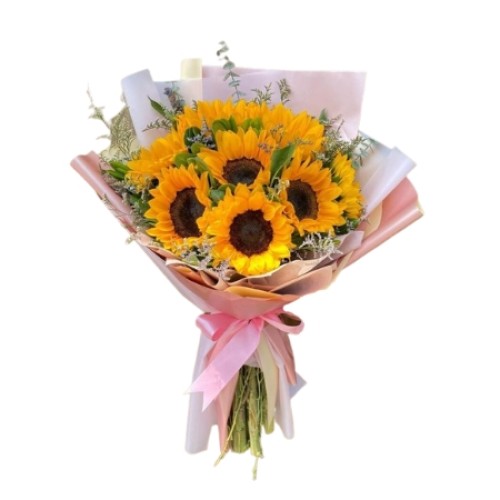 A Dozen Of Sunflower
