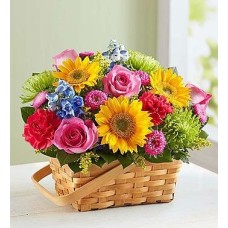 Sunny Basket