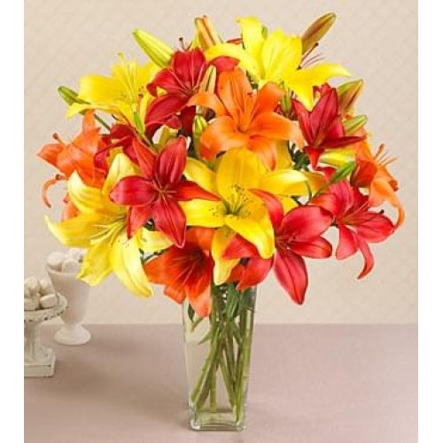 Just Lilies (Regular (As Shown))