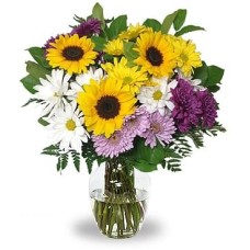 Sunflower Delight (Deluxe)