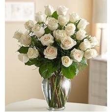 TWO DOZEN WHITE ROSES