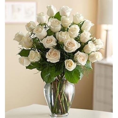 TWO DOZEN WHITE ROSES