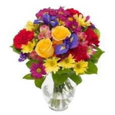 BRIGHTEN YOUR DAY