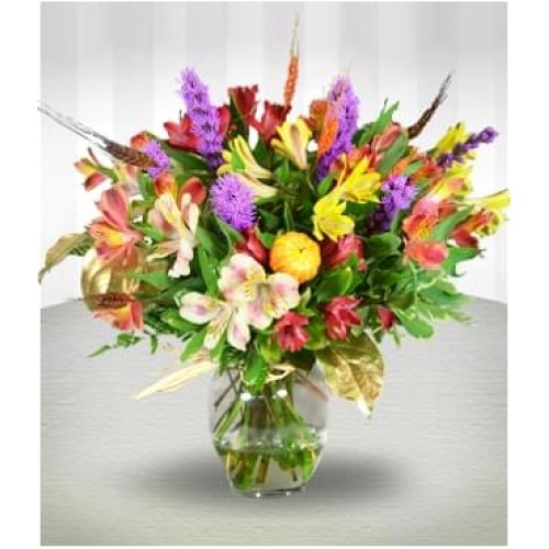 Golden Autumn (Regular (As Shown))