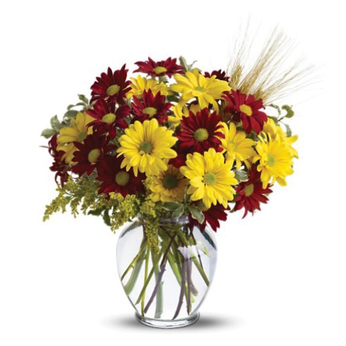 Fall For Daisies
