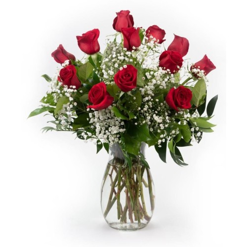 12 Red Roses