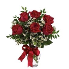 6 Red Roses (Regular)