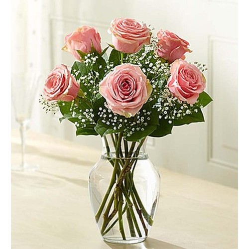 6 Pink Roses