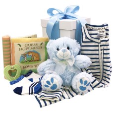 Guess How Much I Love You New Baby Gift