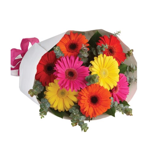 Gerbera Brights (Classic)