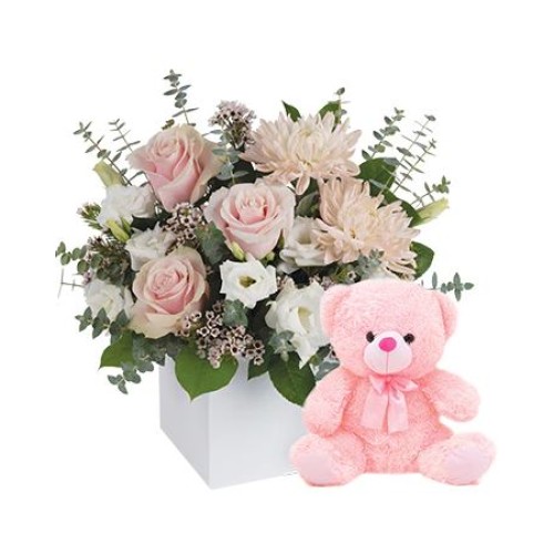 It's a Girl with Teddy (Classic)