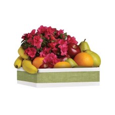 Fruit & Blooms