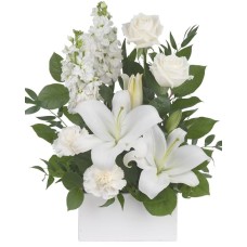 White Simplicity (Classic)