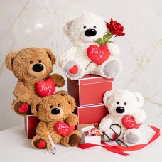 James Bear with Red Heart Brown (24cmST)